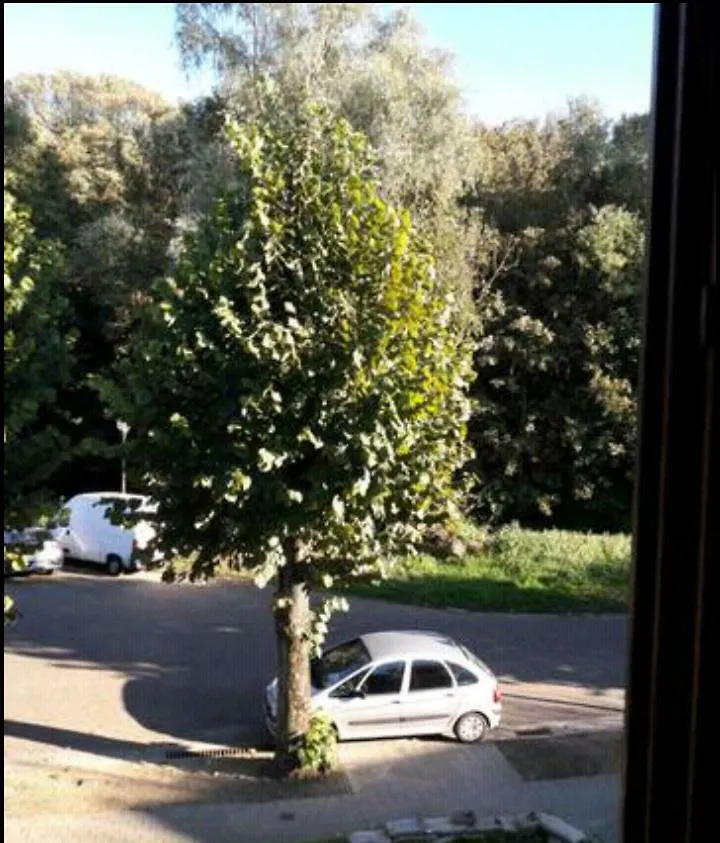 Accommodatie bij particulieren Chez Mimi - Chambre Vue Parc Brussel België